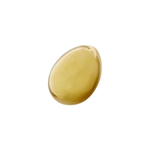 Carl Auböck Brass Egg Paperweight