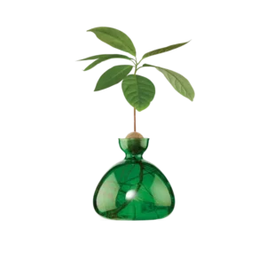 Ilex Studio Avocado Vase – Emerald Green