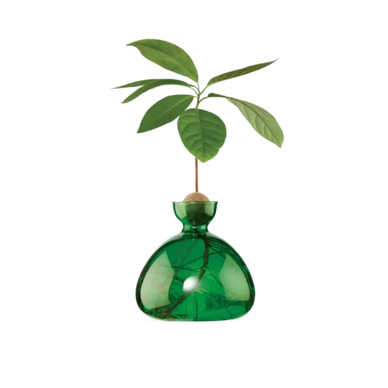 Ilex Studio Avocado Vase - Thumbnail 4