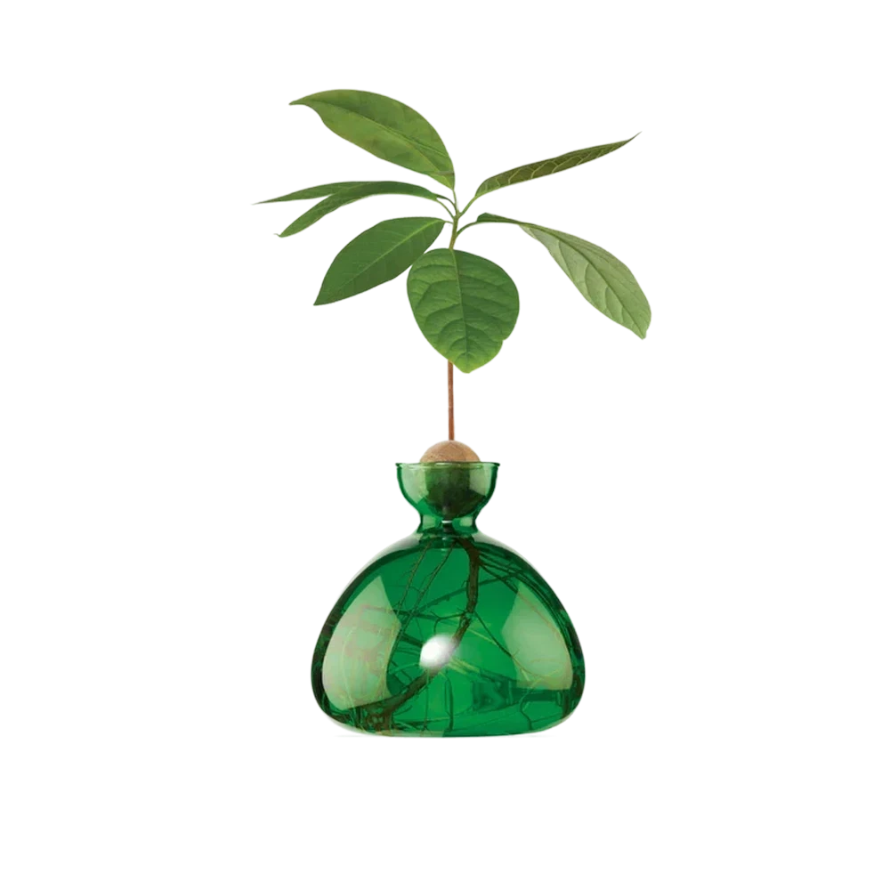 Ilex Studio Avocado Vase – Emerald Green