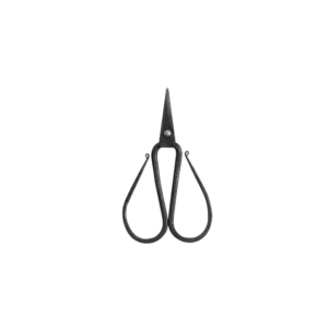 Tajika Flower Shears